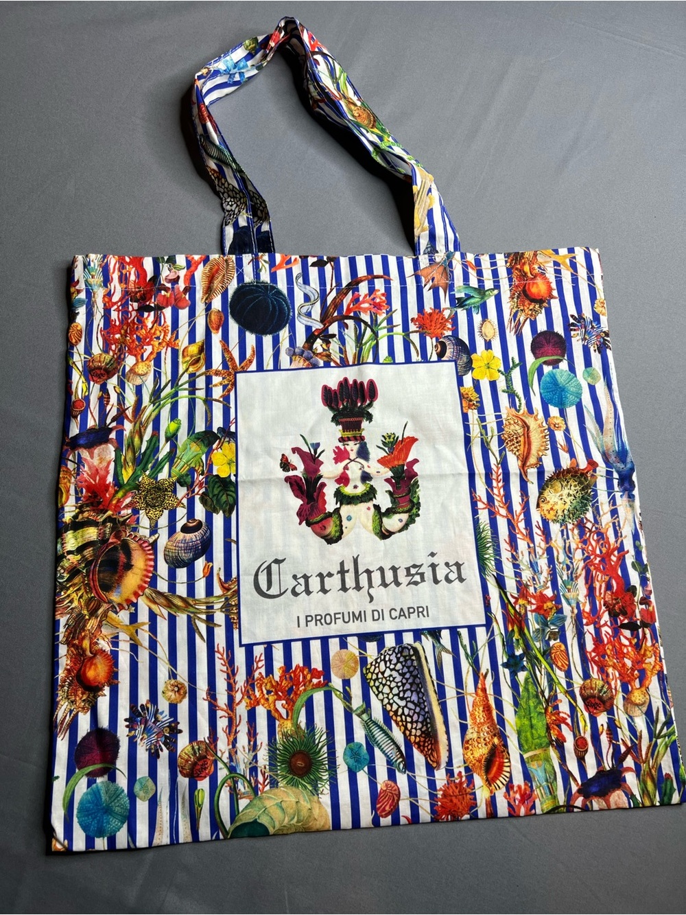Carthusia Capri Coastal Print Tote Bag | Striped Seaside Market Bag | Italy
